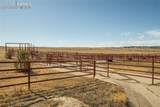 24063 County Road 122 - Photo 29