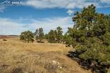 24063 County Road 122 - Photo 34