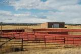 24063 County Road 122 - Photo 35