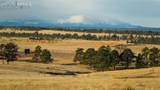 24063 County Road 122 - Photo 9