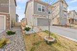 4175 Samaritan Loop - Photo 40