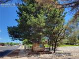 1625 Murray Boulevard - Photo 7