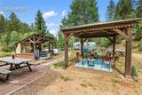 3912 Trout Creek Road - Photo 38
