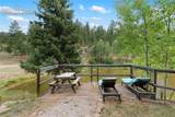 3912 Trout Creek Road - Photo 41