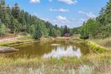 3912 Trout Creek Road - Photo 43