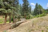 3912 Trout Creek Road - Photo 48