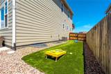 7664 Alpine Daisy Drive - Photo 41