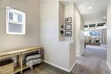 7664 Alpine Daisy Drive - Photo 45