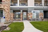 494 Black Feather Loop - Photo 1