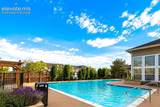 494 Black Feather Loop - Photo 13