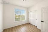 494 Black Feather Loop - Photo 8