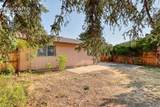 569 Red Cliff Road - Photo 43