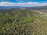 33154 Oak Park Drive - Photo 37