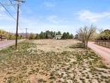1725 Mesa Road - Photo 12