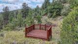 62 Cheyenne Road - Photo 29
