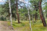 534 Poncha Creek Trail - Photo 44