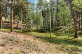 534 Poncha Creek Trail - Photo 46