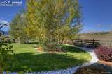 698 Larimer Creek Drive - Photo 3