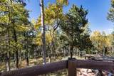 679 Calcite Drive - Photo 58