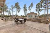 10957 Silver Mountain Point - Photo 69