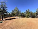 2627 Pikes Peak Drive - Photo 51