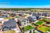 7664 Alpine Daisy Drive - Photo 42