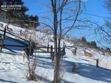 320 Columbine Road - Photo 43