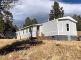 169 Daisy Street - Photo 1