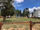 169 Daisy Street - Photo 3