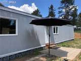 169 Daisy Street - Photo 8