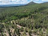 4710 Wildhorn Road - Photo 49