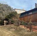 320 Columbine Road - Photo 36