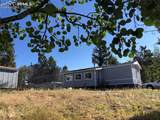 169 Daisy Street - Photo 22