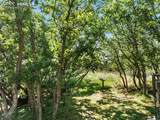2605 Tamora Way - Photo 44