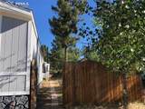 169 Daisy Street - Photo 21