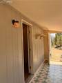169 Daisy Street - Photo 28