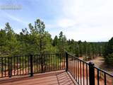 748 Pinewood Road - Photo 13