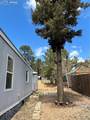 169 Daisy Street - Photo 26