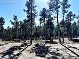 3145 Promise Point - Photo 27