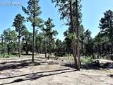 3135 Promise Point - Photo 15