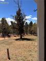 169 Daisy Street - Photo 22