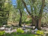 625 Cheyenne Road - Photo 8