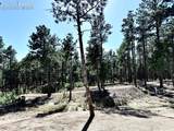 3135 Promise Point - Photo 16