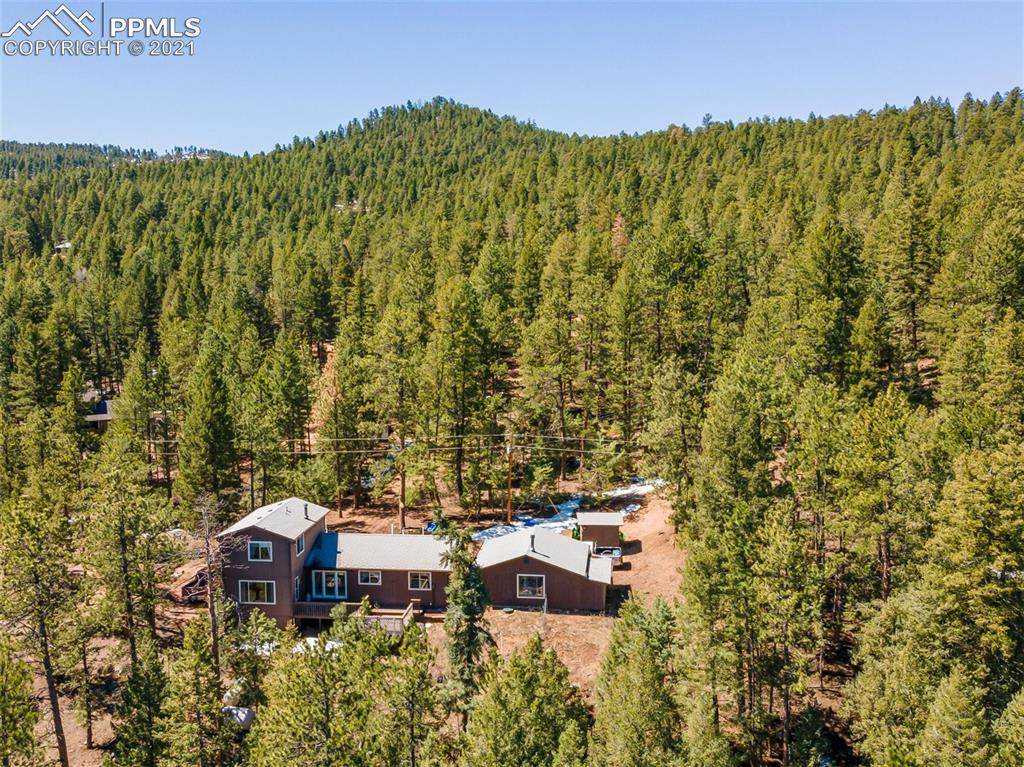 1339 Cinnamon Bear Road - Photo 1