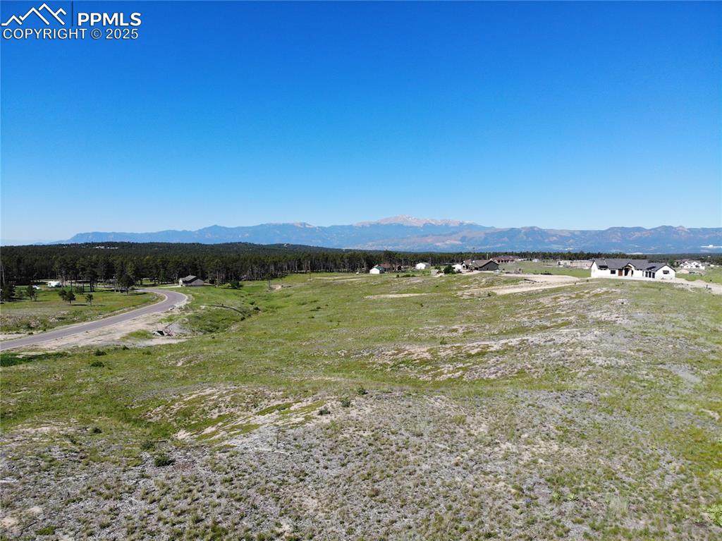 12632 Eagle Forest Drive - Photo 1