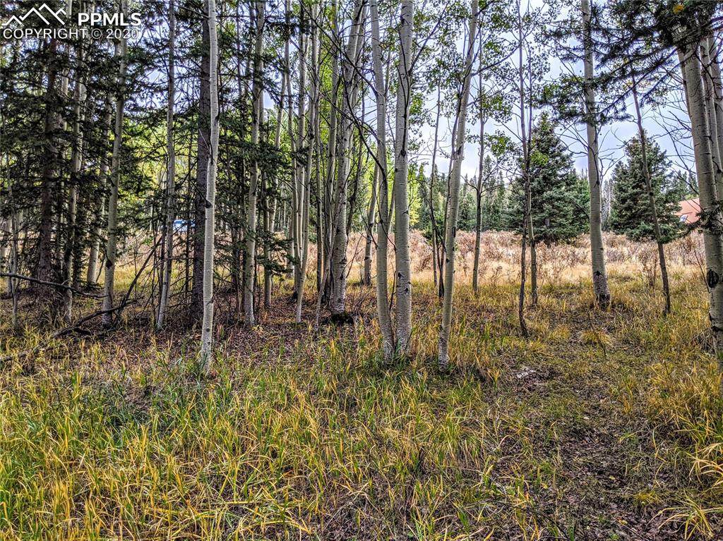 100 Hillside Lane - Photo 1