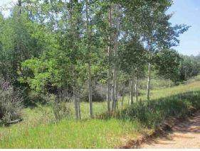 549 Aspen Village Road - Photo 1
