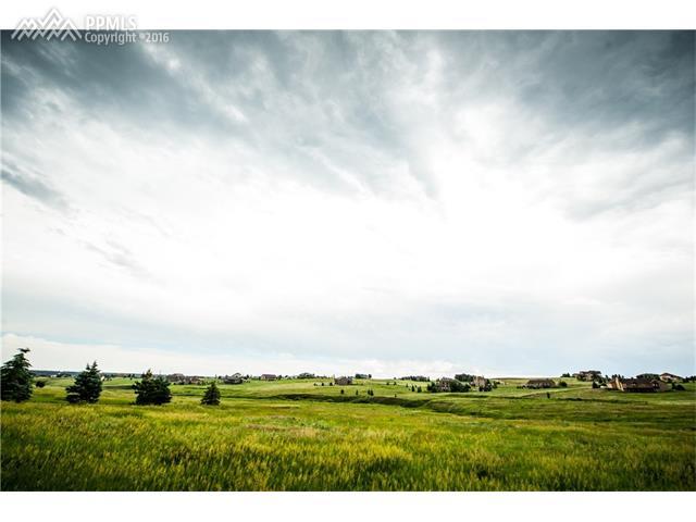 1317 Montcombe Drive - Photo 1