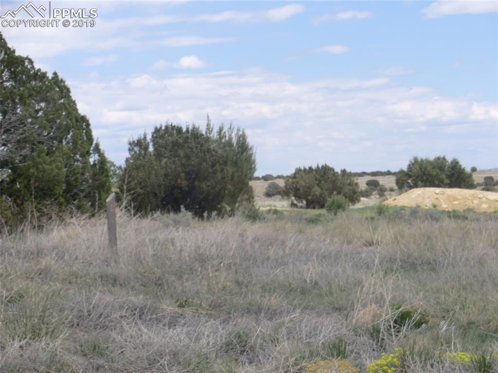 3542 Saddle Drive - Photo 1