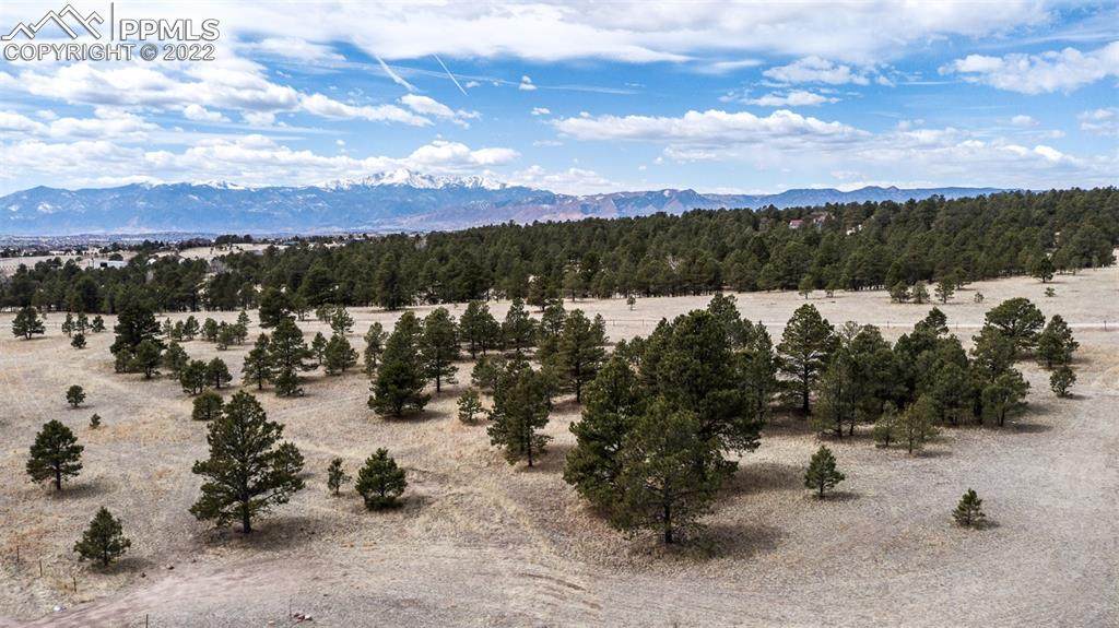 8585 Forest Line Point - Photo 1